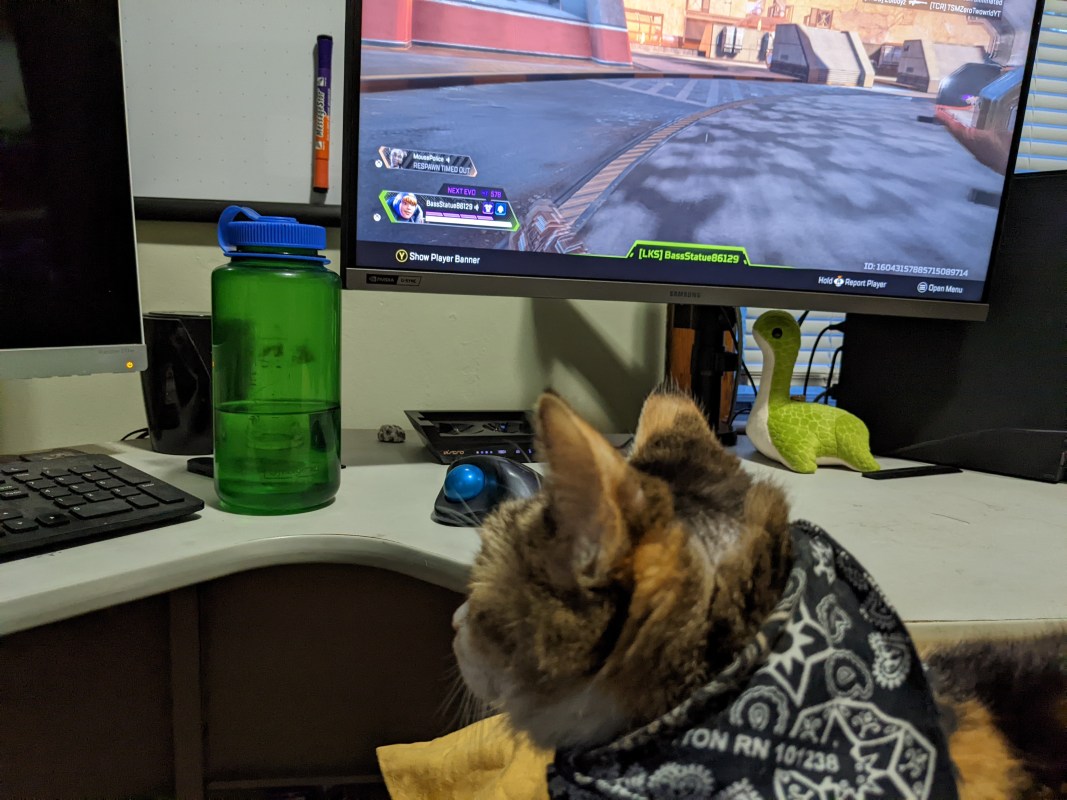 Alive and Well in KCMO