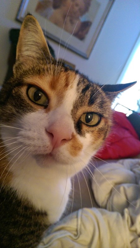 Kitty Love, Saying Goodbye