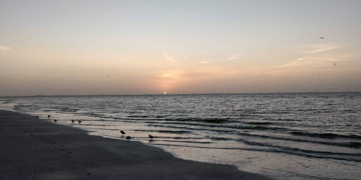 The Little Island. Remembering Sanibel