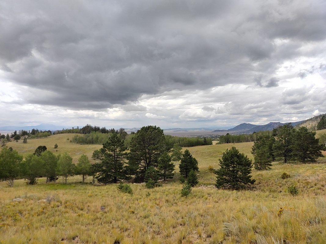 The Things I’ve Said as A Widow