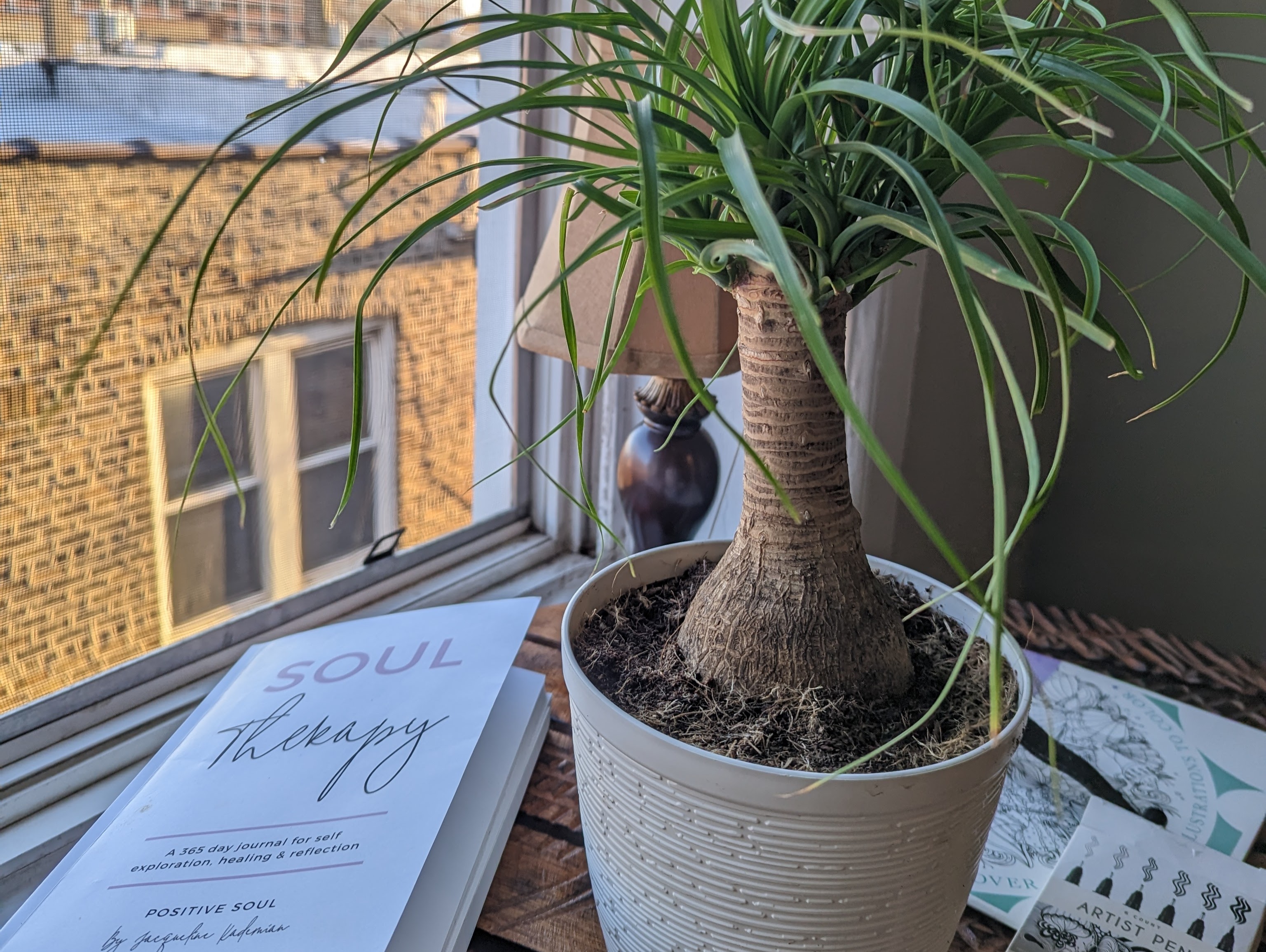 When There is Just More