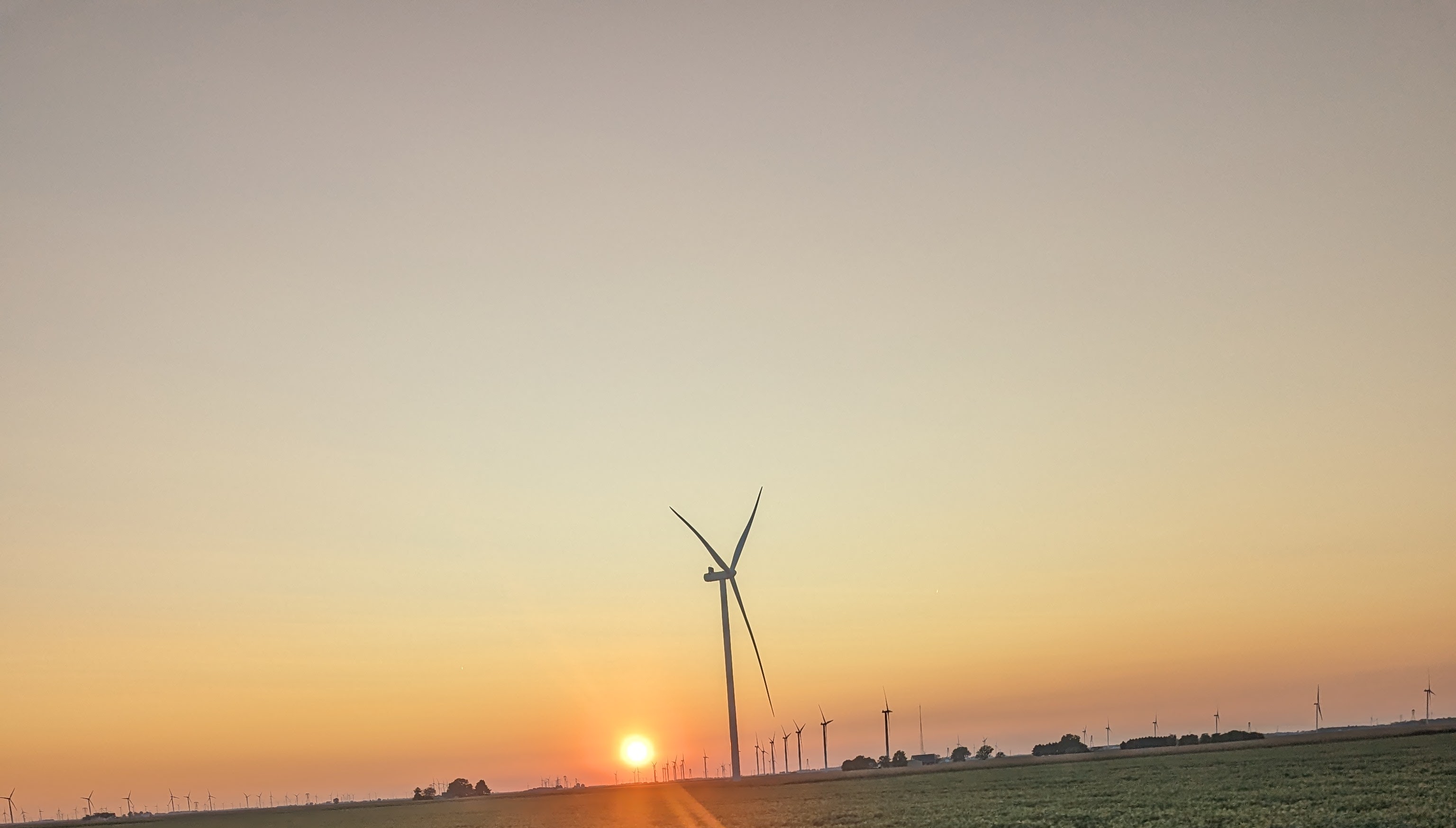 Going Backward While Moving Forward