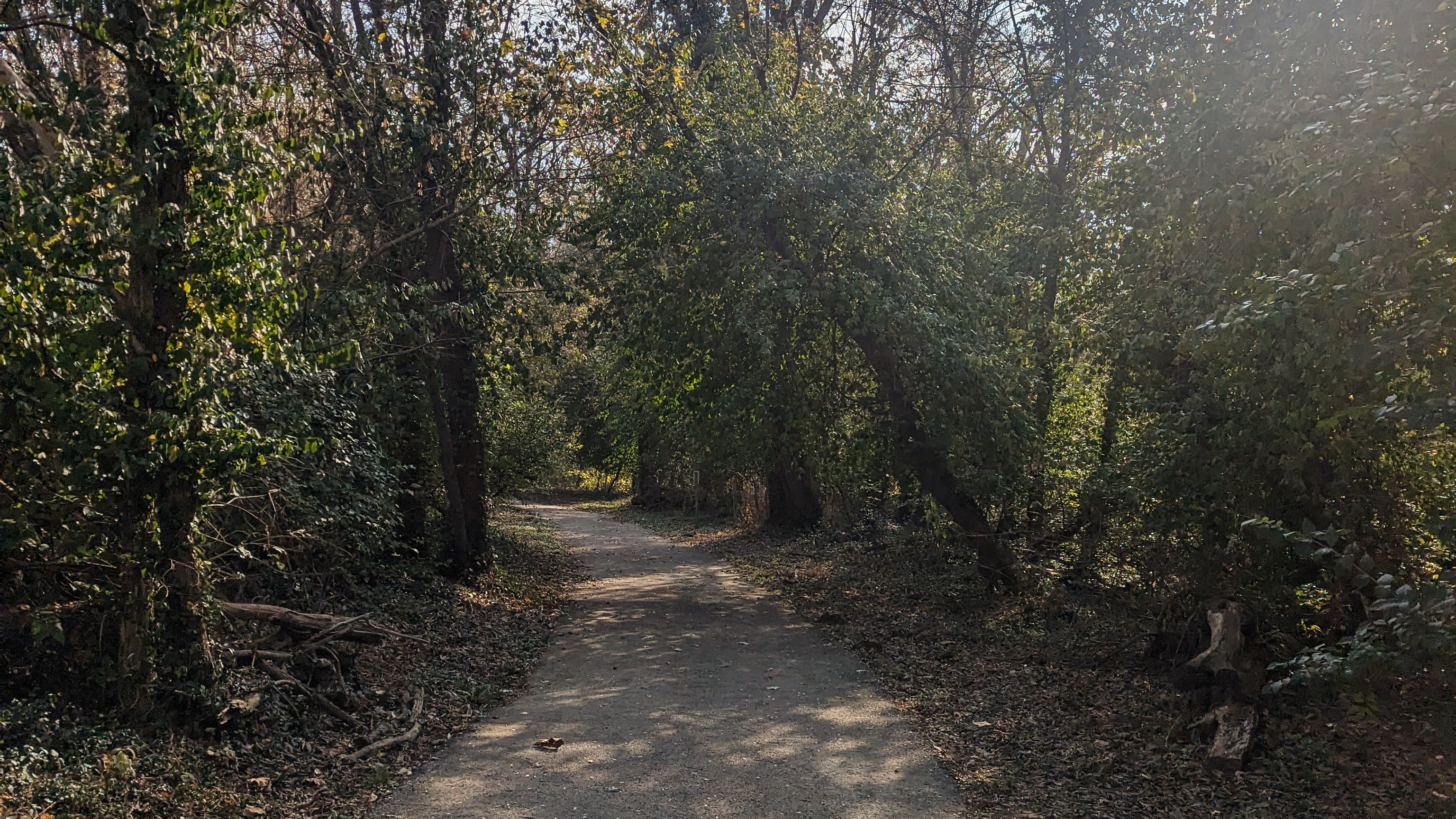 Generalized Anxiety Disorder: How much anxiety is normal?