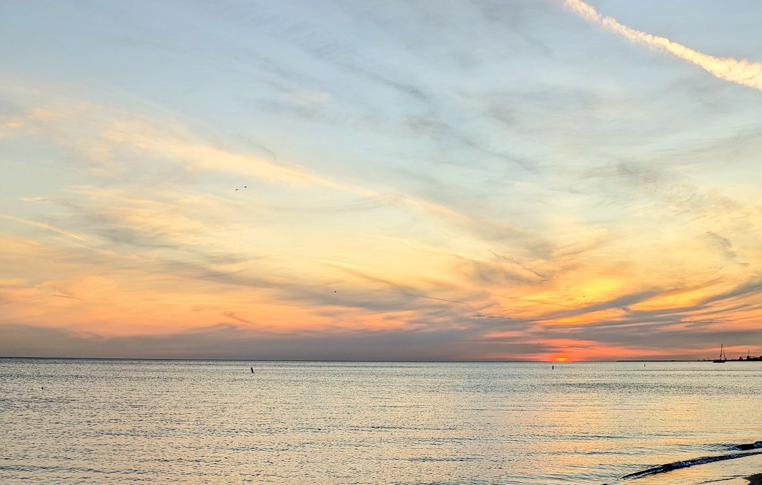 A Grief Journey Continued: Chasing Clarity