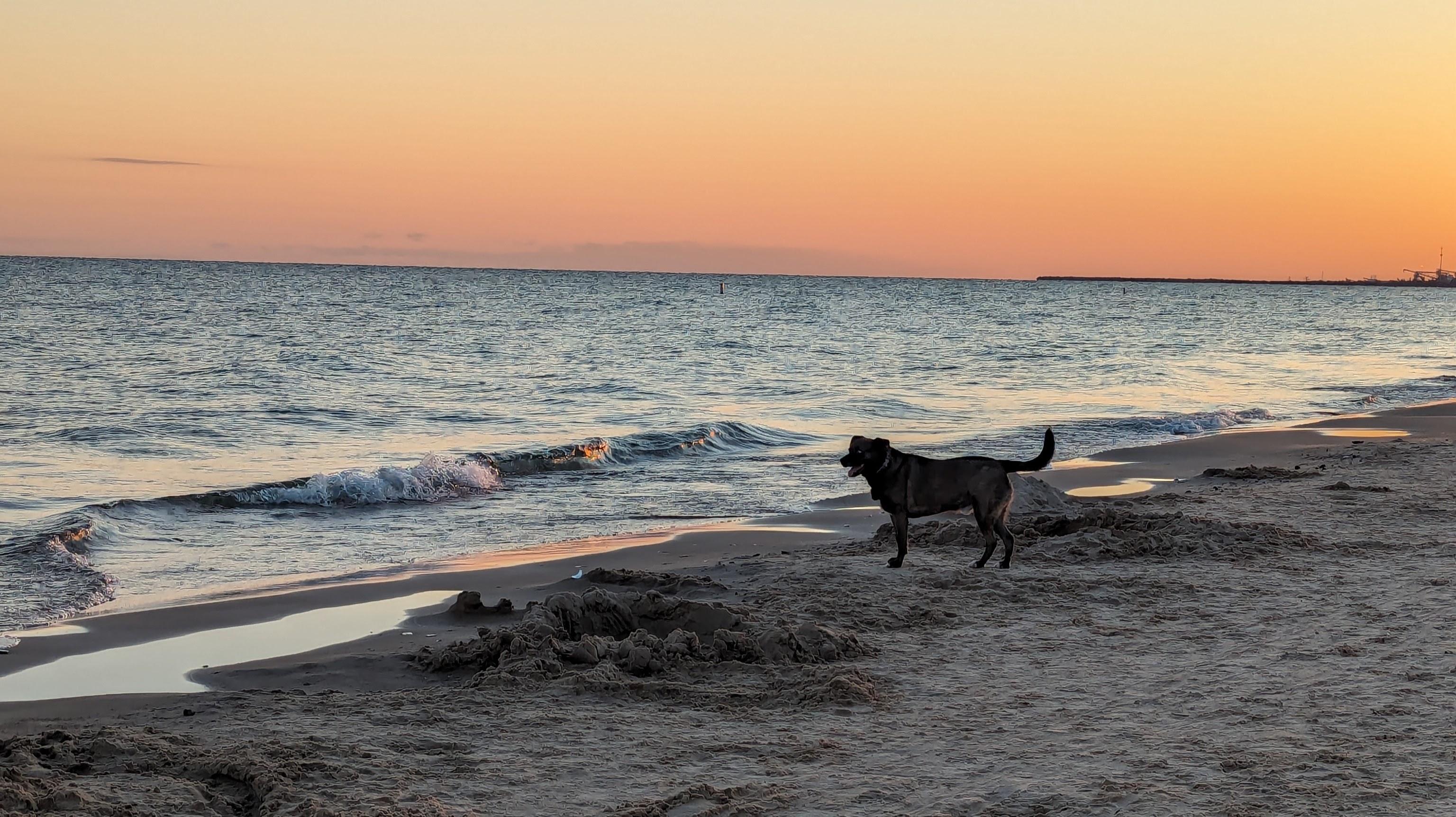 Their Absence, My Presence